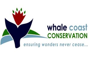 Membership and Investors in the Environment